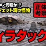 あのUMAと同種か！？ピュージェット湾の怪物 ウィラタック