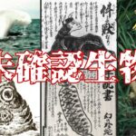 【ゆっくり解説】日本の未確認生物『日本UMA編』