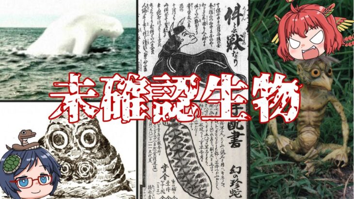 【ゆっくり解説】日本の未確認生物『日本UMA編』