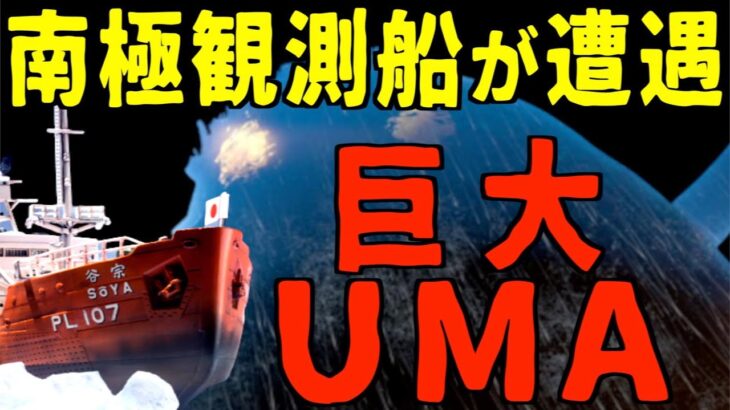 ついに世界の未確認生物「ニンゲン」発見か！？南極観測船「宗谷」が遭遇した巨大UMA