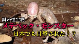 【謎の怪生物UMA】メテペック・モンスター【日本でも目撃された！】