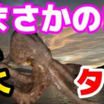 防波堤で未確認生物と遭遇!!UMA？【岩手三陸釣り紀行】