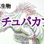 【未確認生物UMAイラスト】チュパカブラ！