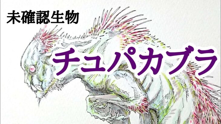 【未確認生物UMAイラスト】チュパカブラ！