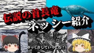 「未確認生物・UMA」伝説の首長竜・ネッシー紹介