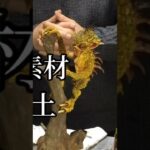 粘土で作った 未確認吸血生物 チュパカブラ     #粘土作品  #造形  #未確認生物 #UMA