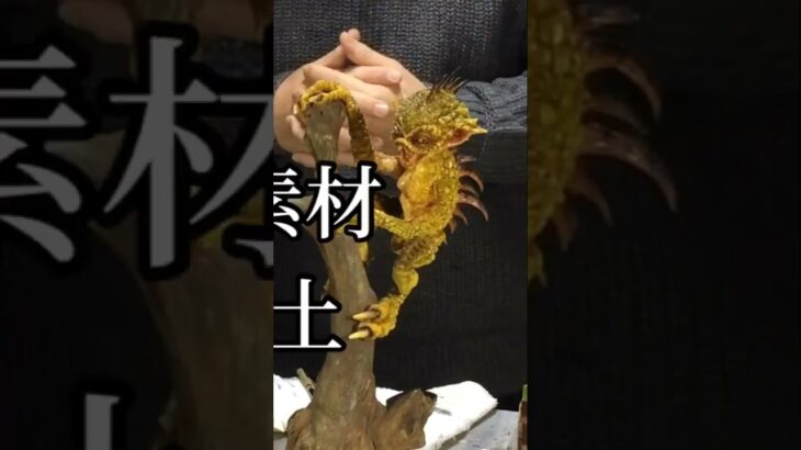 粘土で作った 未確認吸血生物 チュパカブラ     #粘土作品  #造形  #未確認生物 #UMA