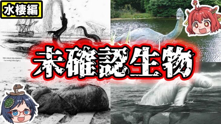 【ゆっくり解説】世界の未確認生物『水棲UMA編』