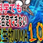 現代科学でも完全には否定できない未確認生物UMA10選！【No0】