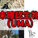 世界の未確認生物（UMA）たちPart③【ゆっくり解説】