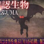 未確認生物UMA「意外と知られていない空を飛ぶUMA？」【世界謎ミステリー】