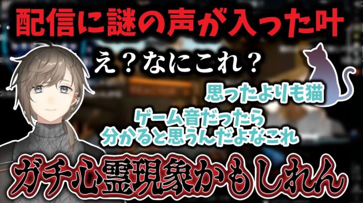 【心霊現象？】配信に猫の鳴き声のような音が入り検証する叶【にじさんじ切り抜き/VALORANT/フェイド】