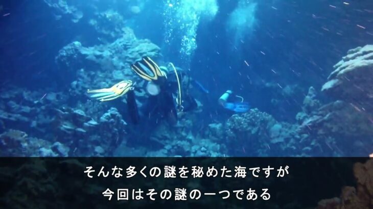 【心臓病系Vtuberの都市伝説】海に漂う謎　セイリッシュ海におけるにんげんの足の発見