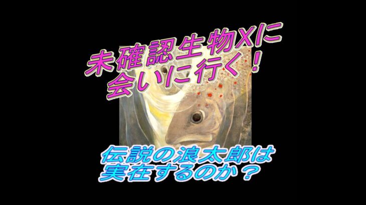 【未確認生物X】新潟県糸魚川市高浪の池で、４ｍの巨大魚ナミタロウに会うことはできるのか？