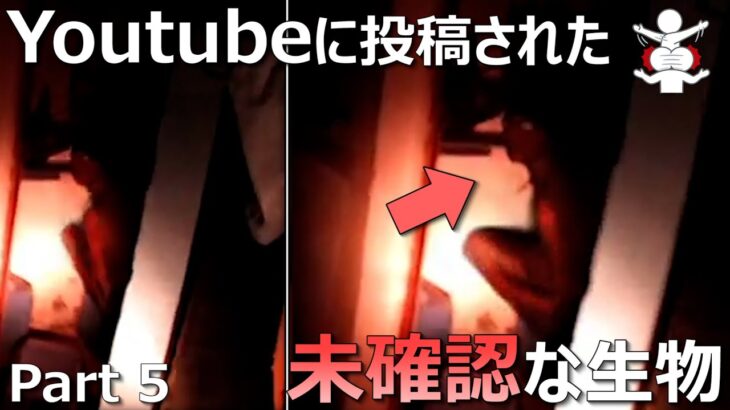 【恐怖映像】Youtubeに投稿された未確認な生物 6選 Part5【作業妨害】