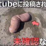 【恐怖映像】Youtubeに投稿された未確認な生物 Part2【作業妨害】