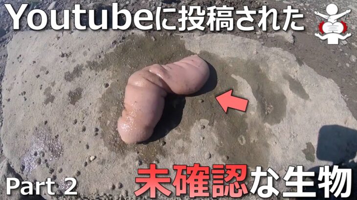 【恐怖映像】Youtubeに投稿された未確認な生物 Part2【作業妨害】