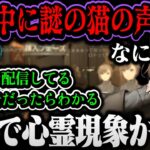 【心霊現象？】謎の猫の声が入り検証する叶（ホラーヴァロ配信）【叶/にじさんじ切り抜き】