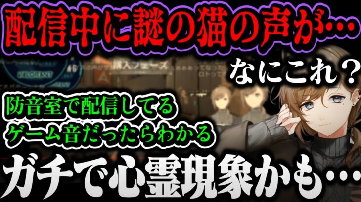 【心霊現象？】謎の猫の声が入り検証する叶（ホラーヴァロ配信）【叶/にじさんじ切り抜き】