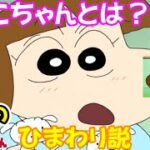 【ゆっくり解説】しんこちゃん未来のひまわり説とは？【都市伝説】