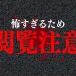 【心霊】あまりに怖すぎるので注意してご覧ください。