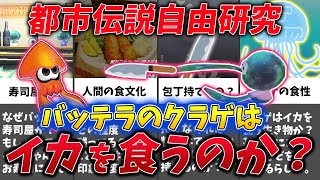 【都市伝説】クラゲはイカを食う！？バッテラの寿司屋の謎を自由研究！【ゆっくり解説】