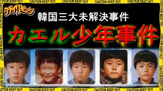 【衝撃】韓国三大未解決事件の１つ『カエル少年事件』とは【都市伝説 立ち入り禁止】