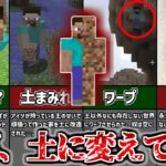 【マイクラ都市伝説】永久に脱出不可”プレイン スティーブ”土以外何も無い世界の果てとは…？【ゆっくり解説】