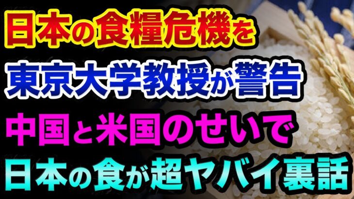 日本の食糧危機に備えて！中国と米国のせいで「日本の食」が超ヤバイ裏話。中国が食糧を買い占めと日本農業の真実と、学校給食で子どもがヤバすぎる【 食糧危機 日経平均 都市伝説 備蓄 食の戦争 】