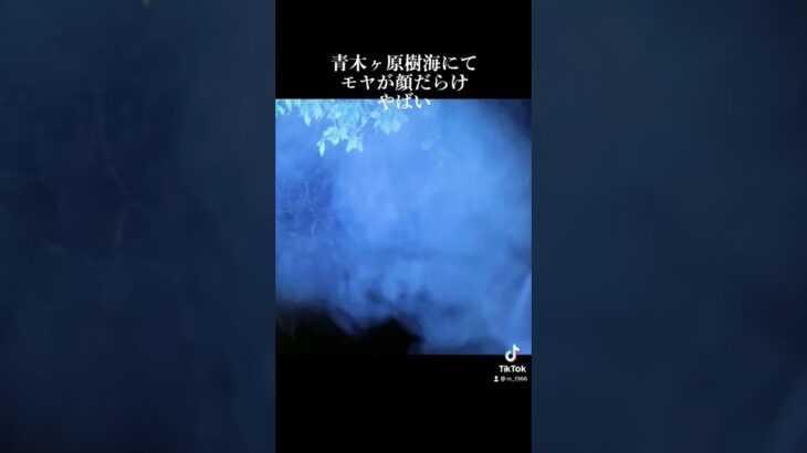 青木ヶ原樹海　心霊現象モヤが顔になる