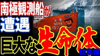 日本の南極観測船「宗谷」が遭遇した生命体…世界が探していた巨大な未確認生物の正体とは？【都市伝説】【ミステリー】【ぞくぞく】【総集編】