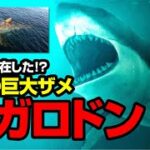 それは実在した！？古代の巨大ザメ メガロドン