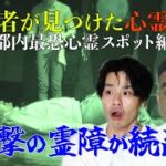 【検証】視聴者は見た！都内最恐スポットで「死んで」って言われてた…