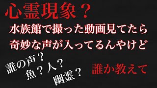 【心霊現象？】えっ誰？魚が喋った？水族館で撮ってたら奇妙な声が入ってるんやけど。