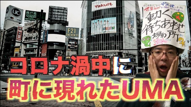 【コロナ禍】外出自粛中に、町に出現した未確認生物がいた！！