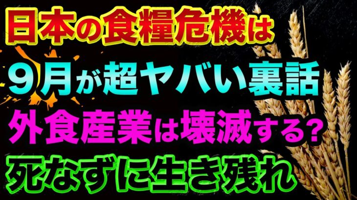 日本の食糧危機は９月が超ヤバい裏話。「小麦が一気に無くなり」外食産業は壊滅する？インフレによる値上げどころか食糧危機になる。缶詰などの備蓄を始めないとヤバい【 食糧危機 日経平均 都市伝説 備蓄 】