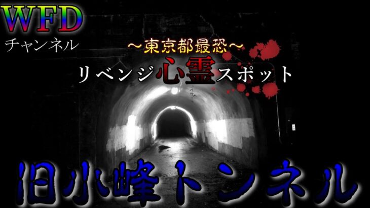 【心霊】再びあの東京最恐のトンネルに行ってみたらやっぱりやばい場所だった。