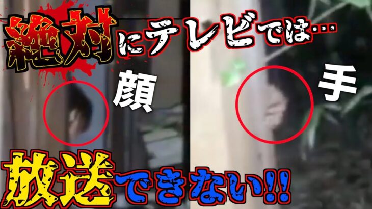 【心霊現象】※閲覧注意 ガチで映った廃墟に実際に行ってみた。