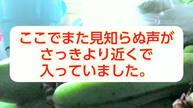 まさかの心霊現象(まじ)1:26と3:10あたり