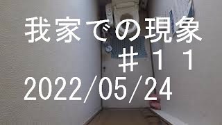 我家での現象 2022/05/24 午後2:00頃 #11 【心霊、幽霊、霊障、ポルターガイスト】