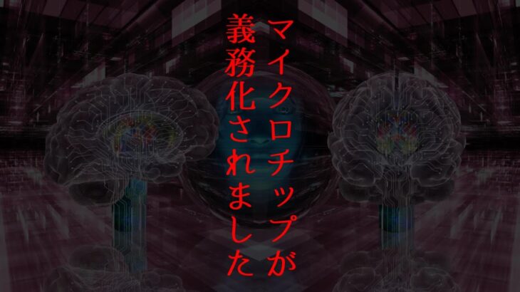 【20220601】ついにチップが義務化されました