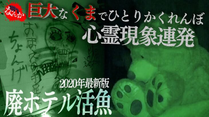 #6活魚で巨大な熊でひとりかくれんぼ！心霊現象が連発…【なんか】心霊スポット 油井グランドホテル 心霊ユーチューバー 肝試し 事故物件＃６