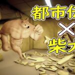 【ホラー】海外の都市伝説「BackRoom」×「柴犬」の迷宮ホラーが爆誕しました  【フリー ホラーゲーム 実況 】Backrooms Buff Doge Horror