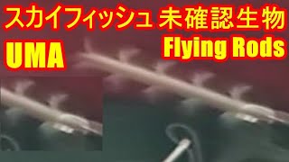 スカイフィッシュ Flying Rods  未確認生物 UMA Sky fish