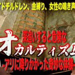 New!!【深追い厳禁/黒い目の子供】危険なオカルティズム-アリに降りかかった奇妙な体験-【DFC ベストセレクション】