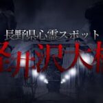 【心霊】長野県No.1スポット「軽井沢大橋」で男性の声…？最恐の心霊現象が