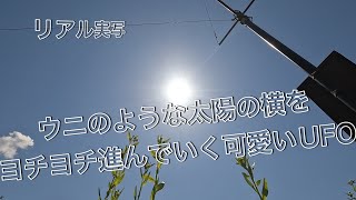 【キュート】ウニのような太陽の横をヨチヨチ進んでいく かわいいUFO