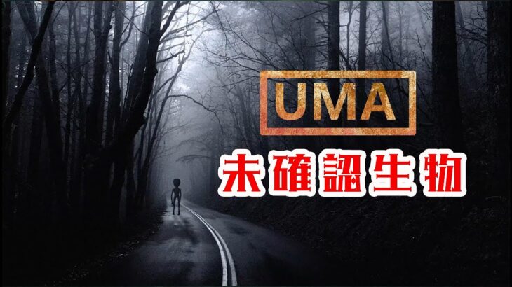 遭遇警報！！【UMA】未確認生物  人類未知的生物，他們可能就在你身邊