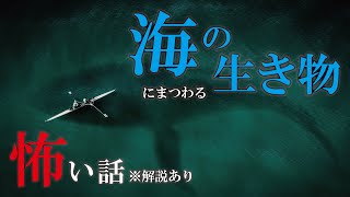 海の生き物にまつわる怖い話・都市伝説を考察してみた【怪談】【UMA】【ホラー】