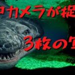 【UMA】ネッシー　アカデミー調査団編【未確認生物】